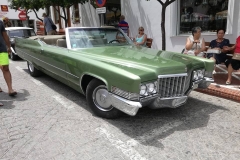 1a Concentracion coches clasicos Mojacar 2017 (66)
