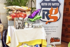 RUTA DE GATOS - EVENTO SOLIDARIO 2018 (127)