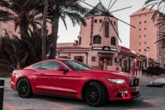 RUTA NAVIDEÑA BMW MURCIA - UNUMOVE (85)
