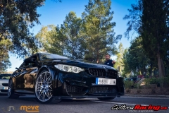 V CLASICA PUERTO DE LA RAGUA BMW Z Y M 2017 (181)_1024x684