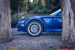 V CLASICA PUERTO DE LA RAGUA BMW Z Y M 2017 (200)_1024x684