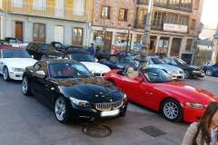 V RUTA DE GATOS MADRID 2017 (2)