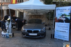 V RUTA DE GATOS MADRID 2017 (2)