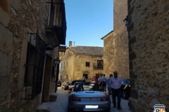 V RUTA DE GATOS MADRID 2017 (21)