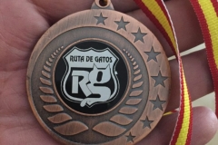 V RUTA DE GATOS MADRID 2017 (28)