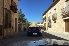 V RUTA DE GATOS MADRID 2017 (31)
