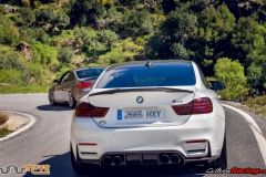 XXVIII ruta Bmw Z y M 2018 (121)