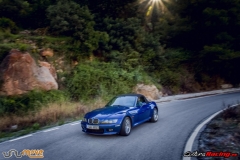 XXVIII ruta Bmw Z y M 2018 (13)