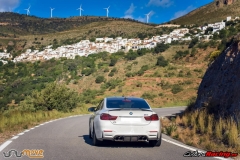 XXVIII ruta Bmw Z y M 2018 (15)