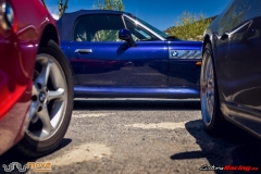XXVIII ruta Bmw Z y M 2018 (216)