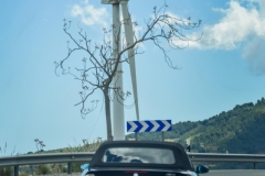 XXVIII ruta Bmw Z y M 2018 (251)