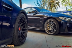 XXVIII ruta Bmw Z y M 2018 (260)