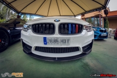 XXVIII ruta Bmw Z y M 2018 (270)