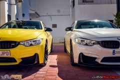 XXVIII ruta Bmw Z y M 2018 (43)