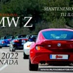 XI Ruta de Gatos Nacional 2022 Granada