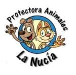 EXPOSICIÓN BENÉFICA DE VEHICULOS LA NUCÍA - PRO ANIMALES - Imagen 2